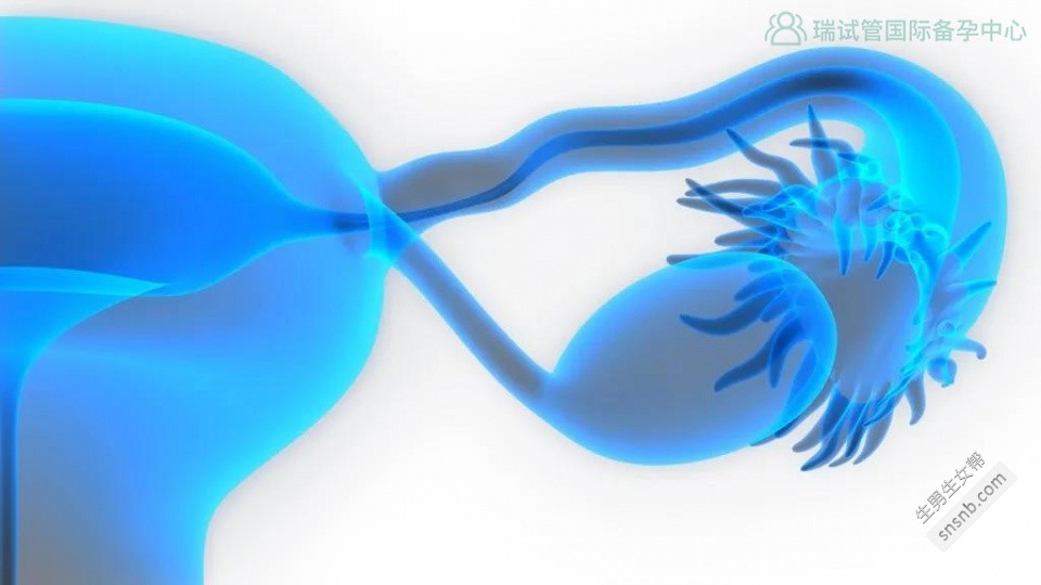 如何检测不孕不育？找出不孕不育原因的五个步骤